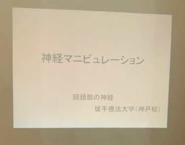 【神戸校の実技クラスレポート】実践に活きる神経マニピュレーション