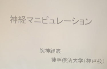 神戸校実技講習の開催報告。腕神経叢（長胸神経・肩甲上神経・肩甲背神経）の絞扼障害に対する評価と神経マニピュレーション技術を解説 。臨床力を高めるための学習環境についても触れています。