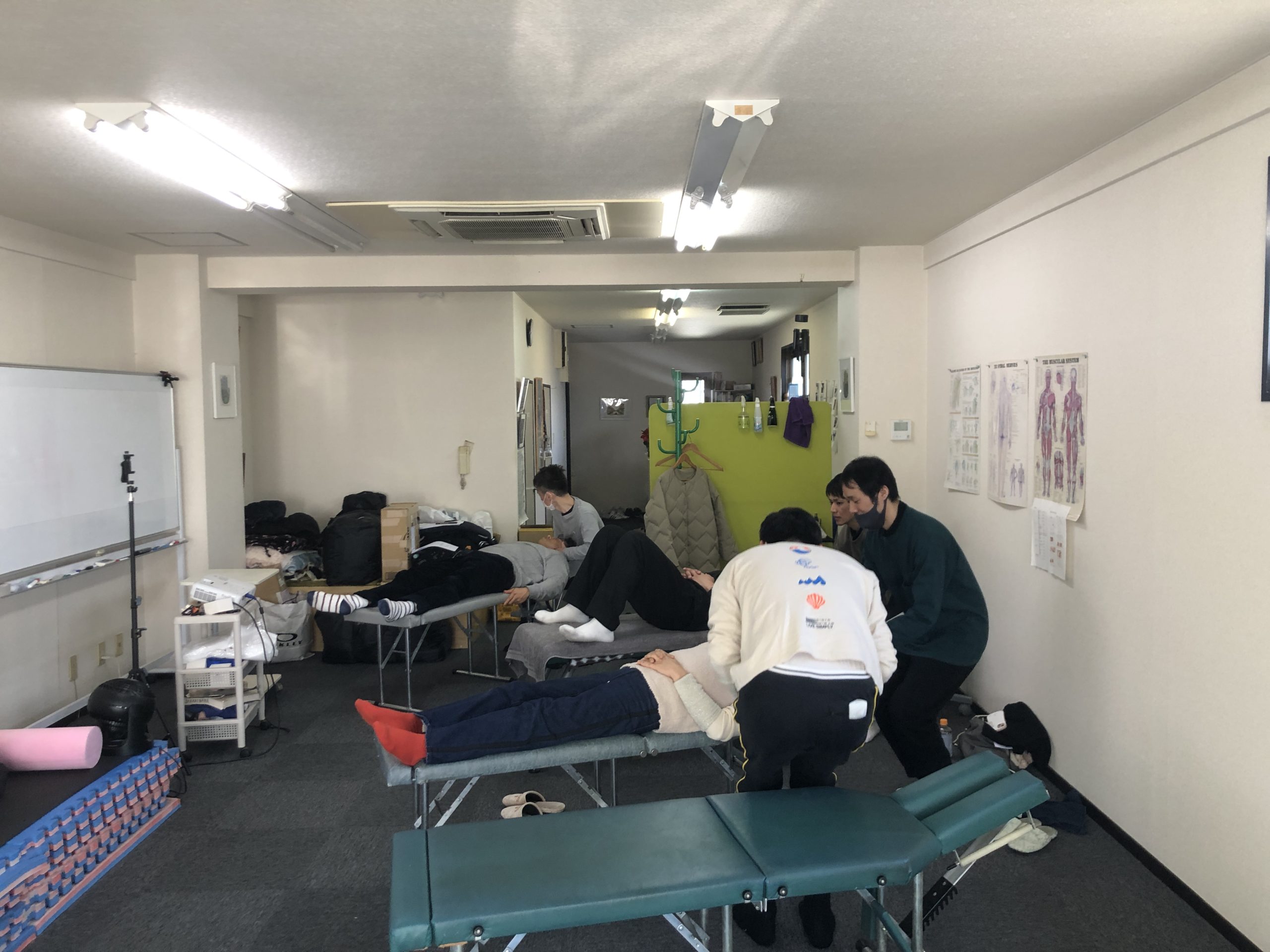 徒手療法大学名古屋校の勉強会にて、榊原直樹学長が骨格模型の腰と骨盤を指差し、脊柱管狭窄症と股関節の関係について熱心に解剖学指導をしている様子。