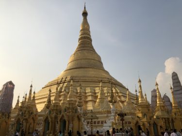【学長コラム】ミャンマー瞑想の師・チャンミ長老との謁見 〜細胞が共鳴する癒やしの周波数〜